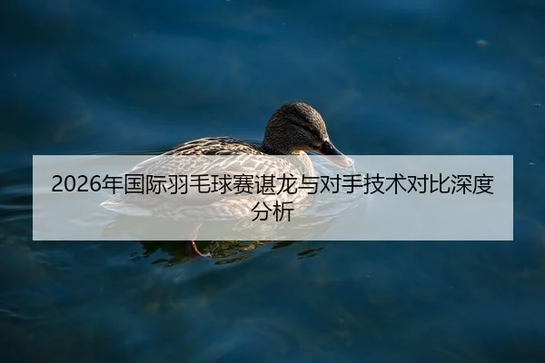 nian-guo-ji-yu-mao-qiu-sai-chen-long-yu-dui-shou-ji-shu-dui-bi-shen-du-fen-xi-2-898.jpg