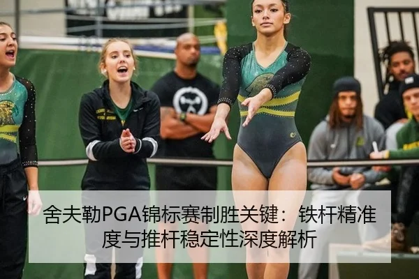 舍夫勒PGA锦标赛制胜关键：铁杆精准度与推杆稳定性深度解析