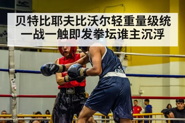 贝特比耶夫比沃尔轻重量级统一战一触即发拳坛谁主沉浮